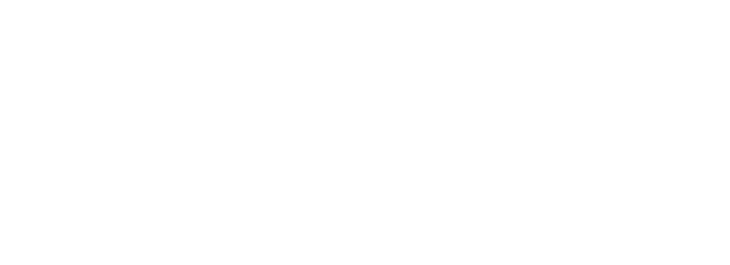 Mansion on Delaware Logo W